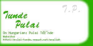 tunde pulai business card